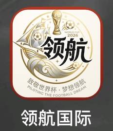 领航国际